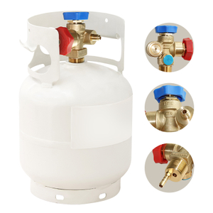 Vannes de cylindre de récupération de réfrigérant à double freon à gaz industriel Sian avec approuvé TPED