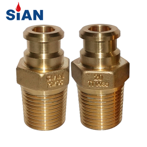 SIAN CLOLIER LE CYLINDRE LPG SUPPORT Valve compact D20 